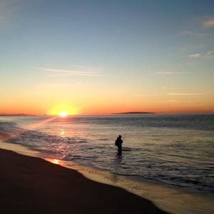 Meet your Posher, Edgar